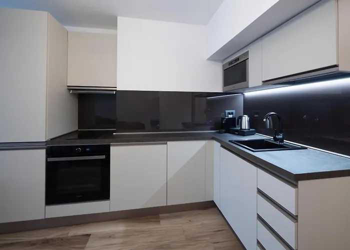 Novos Luxury Otel Bükreş
